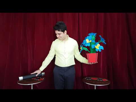 Tora Fire to Colorful Flower Vases (4 Times) - by Tora magic Company