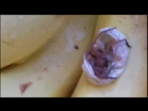 Banan z niespodzianką