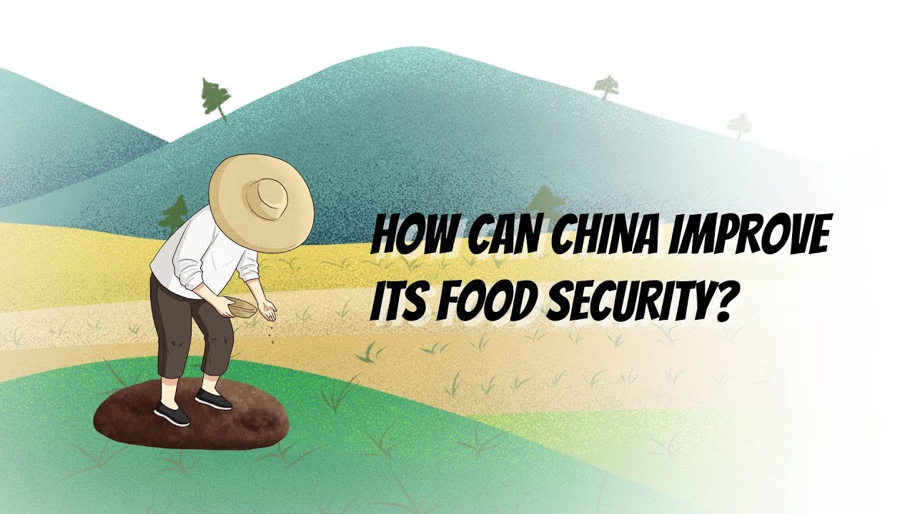 How can China improve its food security?