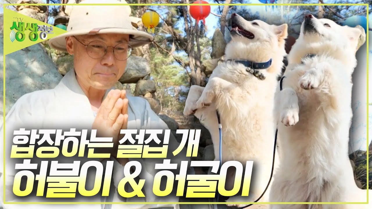 KBS2 2TV 생생정보 방송 화면