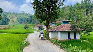 Download lagu Pemandangan Indah Pagi Hari Di Desa. Suling Sunda Paling Merdu Di Jawa Barat, Garut Selatan mp3 Download lagu Pemandangan Indah Pagi Hari Di Desa. Suling Sunda Paling Merdu Di Jawa Barat, Garut Selatan mp3