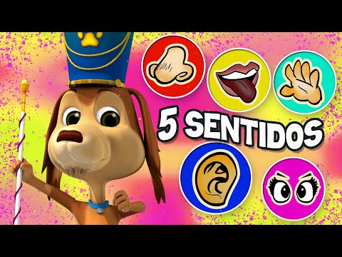 CINCO SENTIDOS MI PERRO CHOCOLO - CANCIONES INFANTILES
