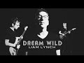 Dream Wild (Liam Lynch)