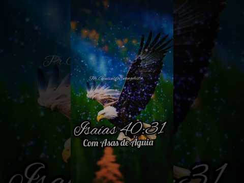 #video #impactante #vitoria #superação#palavra#oração #compartilhe #comente #curtasvirais  Iporã-PR