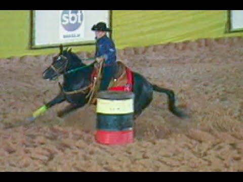 Criação do Dia Nacional do Rodeio segue para análise do Plenário