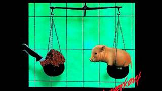 Toxoplasma - Du &amp; Ich