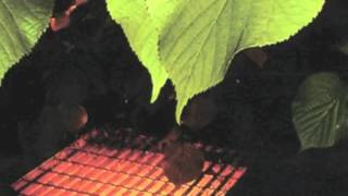 Dilated Peoples - Work the Angles (Howie B - Another Late Night)