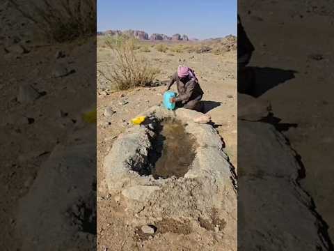 حارس المياه في الصحراء: الرجل الذي أنقذ حيوانات صحراء السعودية من العطش 💦