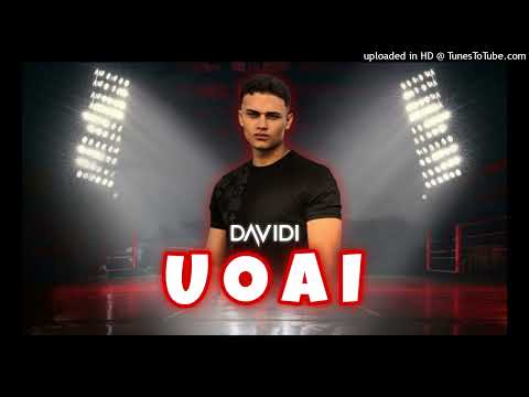 Davidi - UOAI