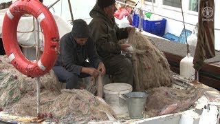 FAO MISSION TURKEY 2018 - Blue Hope Initiative