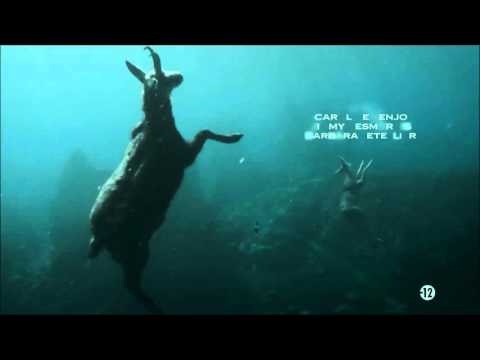 Les Revenants - Générique Saison 1 (The Returned FRANCE - Opening Season 1)