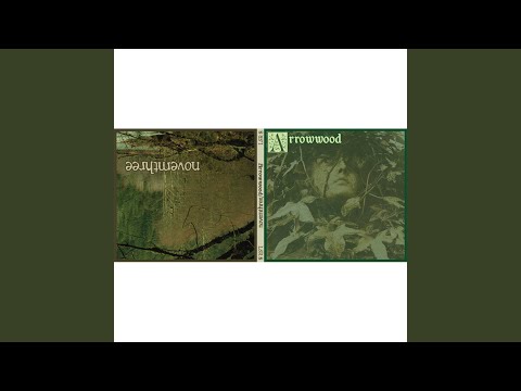 To Breathe in the Trees