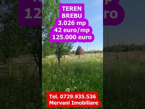 Teren 3026 de vanzare in Brebu — Video