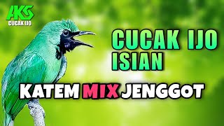 Download lagu MASTERAN CUCAK IJO GACOR ISIAN KAPAS TEMBAK SAMBUNG CUCAK JENGGOT AMPUH DONGKRAK EMOSI IJO MUSUH mp3