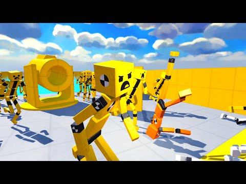 The Endless Battle of Ragdoll Colours - Fun With Ragdolls