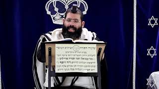 דף היומי עבודה זרה דף ס"ט ע"א ¤ הרב נתנאל אברז'ל ¤ בית הכנסת "בית מרדכי" (מוסדות תורת דוד) - התמונה מוצגת ישירות מתוך אתר האינטרנט יוטיוב. זכויות היוצרים בתמונה שייכות ליוצרה. קישור קרדיט למקור התוכן נמצא בתוך דף הסרטון