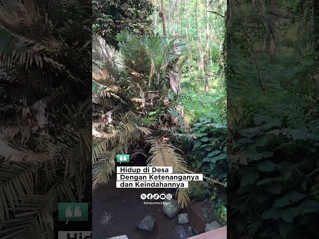 Nyaman dan Tenangnya Hidup di Desa