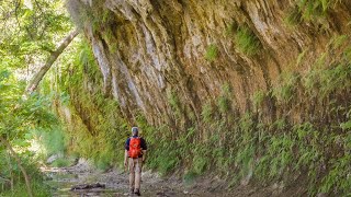 Solo Hiking in the Texas Heat | Lost Maples State Park
