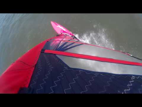 20170610 Mast Cam Fanatic Bee 284 Hamworthy Park