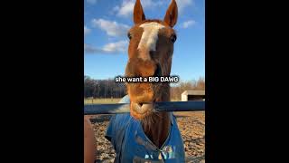 I still love my puppy🫶🏼⭐️ #sky #cc #￼# eq 🧡