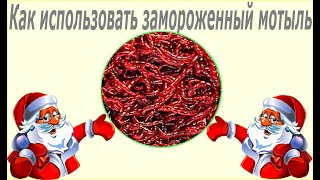 Можно ли заморозить мотыля для рыбалки в морозилке