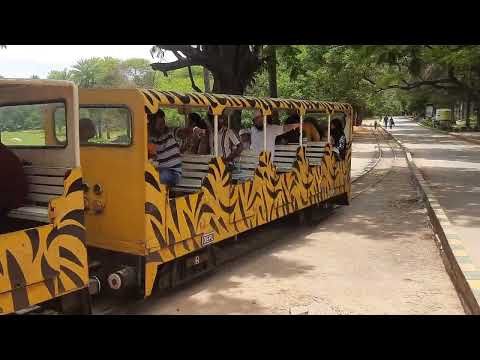 Hyderabad Zoo Park #Hyderabad #zoo #Park #Video #animal