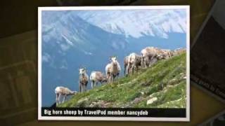 preview picture of video 'Over Red Rock Pass Nancydeb's photos around Glacier National Park, United States (travel pics)'