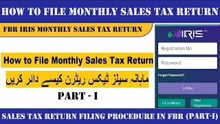 How to File Monthly Sales Tax Return in Pakistan 2024 (Part-I) I Sales Tax Return Filing Process