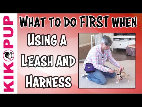 STOP UNWANTED behaviors with BACK UP