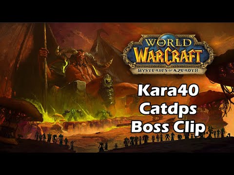 Turtle WoW Catdps feral druid kara40 PoV week60
