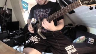 Back in the Day Guitar Cover HD - Obey the Brave