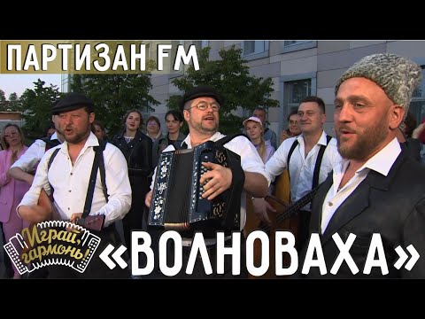Волноваха | Группа «Партизан FM» (г. Москва) | Играй, гармонь!