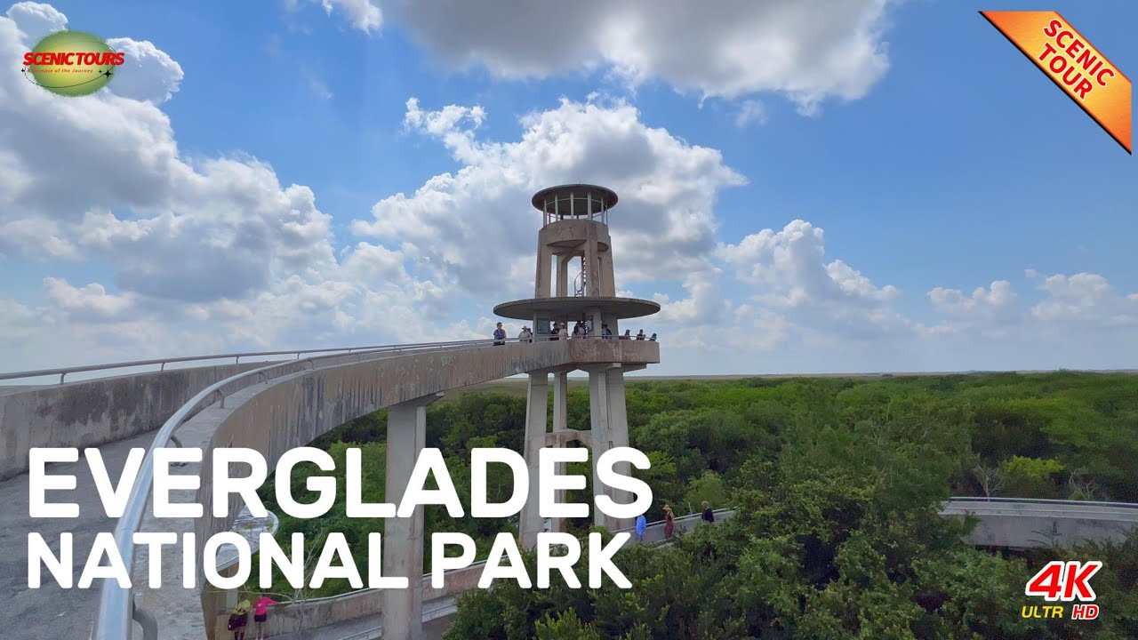 Florida Everglades National Park Scenic Tour | Florida Scenic Drive| 4K 60fps