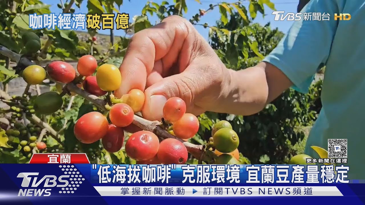 咖啡地方創生！宜蘭業者打造「咖啡地圖」　搶攻百億黑金商機