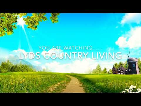 A Healthy Donkey Diet!