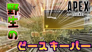 【Apex Legends】万年ブロンズちゃんぽん録Part1【ゆっくり実況】