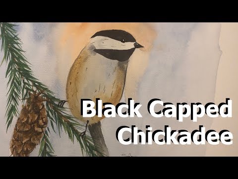 Painting a Black Capped Chickadee in Watercolor Tutorial How To Watercolour Bird Winter
