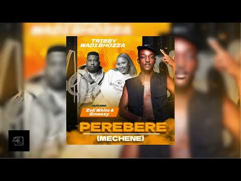 Tribby Wadi Bhozza - Perebere (Mechene) [Feat. Zoli White Smoke & SmeezyOn The Beat](Official Audio)