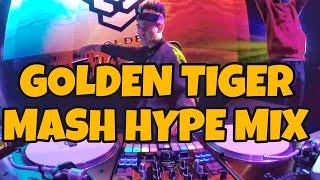 Download lagu DJ NANDOZ SUNSHINE || GOLDEN TIGER MASH HYPE mp3