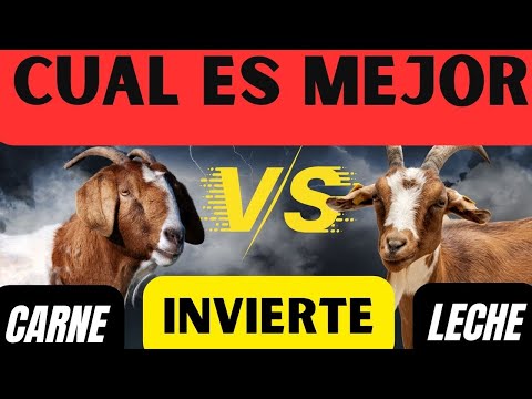 , title : 'Granjas de Cabras para la Leche vs. Granjas de Cabras para Carne: ¿Cuál es más Rentable?'