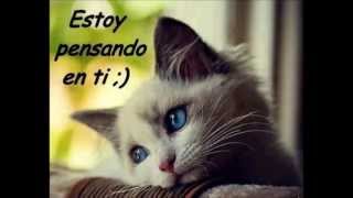 actos de un tonto enamorado conjunto primavera