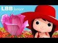 Flowers Song Original Kids Songs By LBB Junior