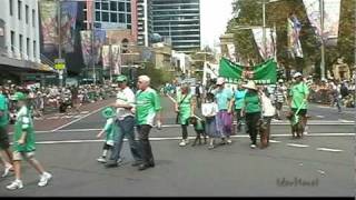 Irish Setters at St Partick's Day Parade, Sydney March 2010