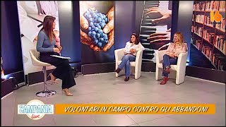 campania live volontari in campo contro gli abbandoni