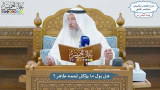 3076 - هل بول ما يؤكل لحمه طاهر؟ - عثمان الخميس