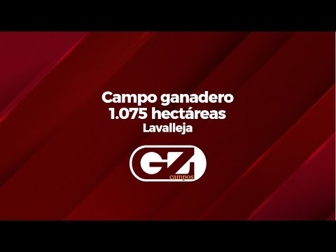 Campo 1075 Lavalleja