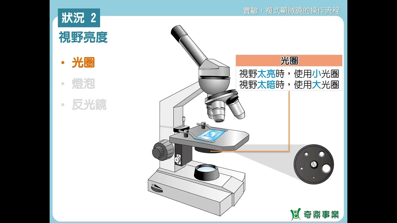 單元1：複式顯微鏡的操作流程