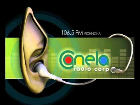 POEMAS DEL LOROMERO - AMADA MUJERDROIDE - CANELA RADIO