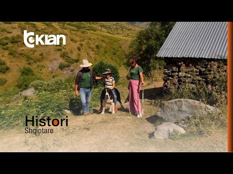 "Nga qen që lufton ariun, u bë mace", Alma Çupi habitet nga Drago