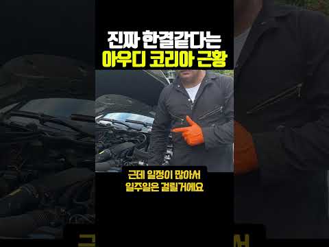 진짜 한결같다는 아우디 코리아 근황